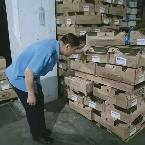 九原區(qū)市場(chǎng)監(jiān)督管理局強(qiáng)化食品流通監(jiān)管，專項(xiàng)檢查日用雜品批發(fā)環(huán)節(jié)